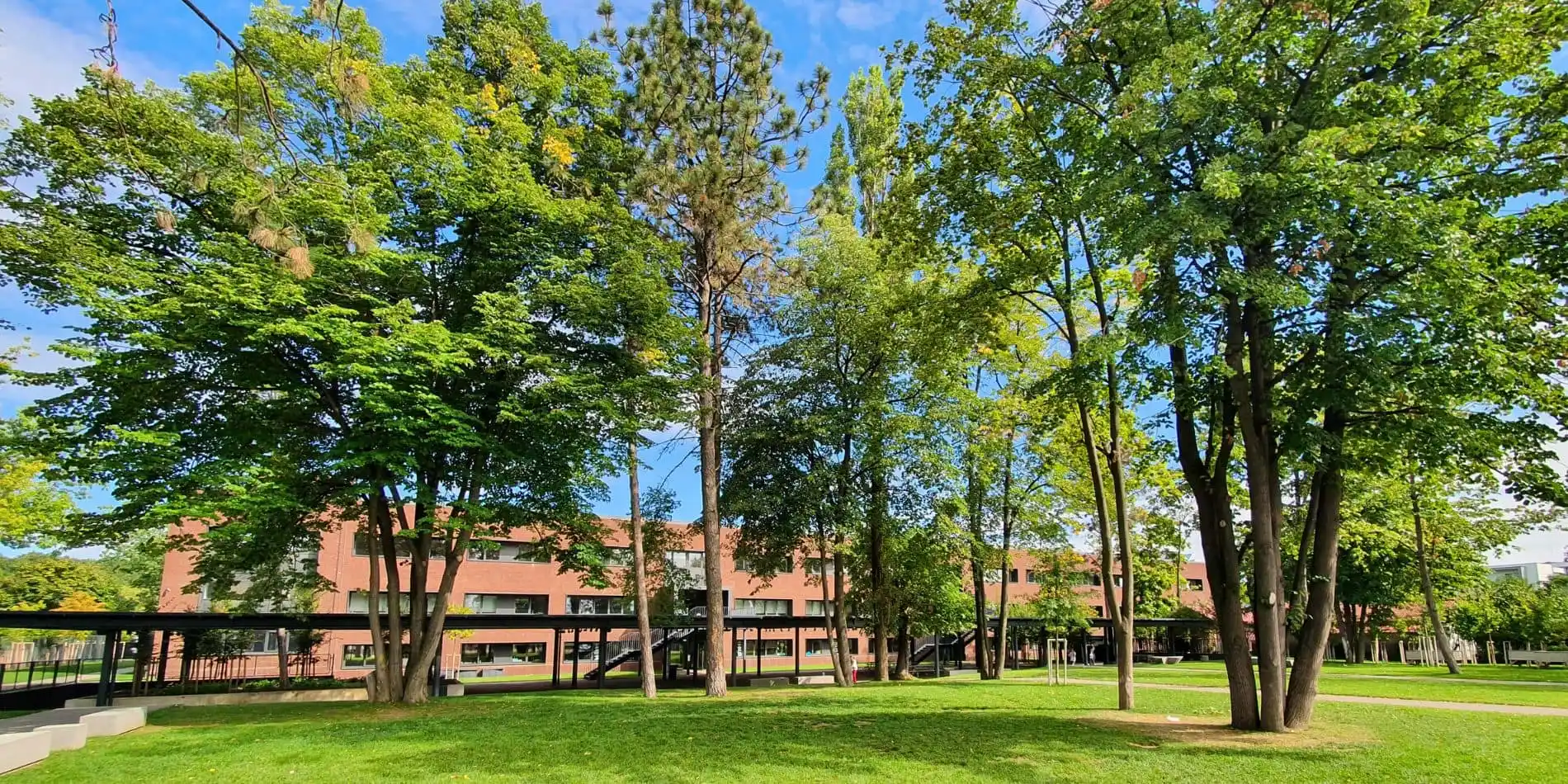 Cambridge School of Bucharest