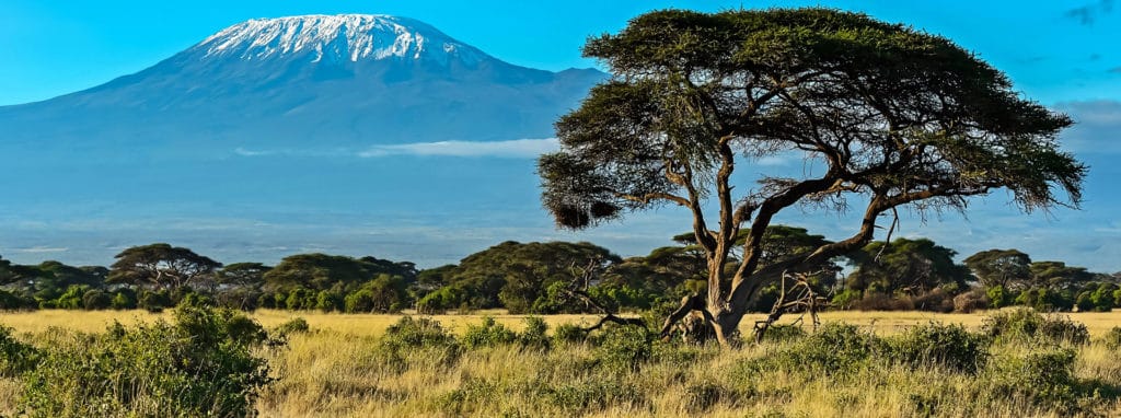 I migliori collegi in Africa