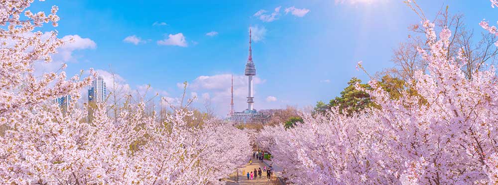 I migliori collegi in Corea del Sud