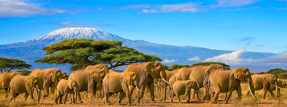 I migliori collegi in Tanzania