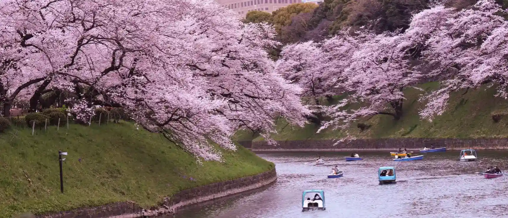 Le migliori scuole online di Tokyo