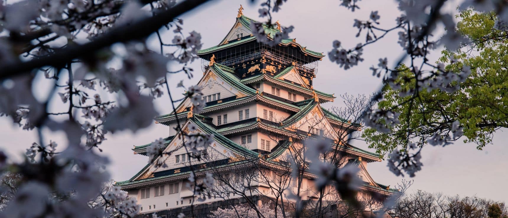 Le migliori scuole internazionali a Osaka