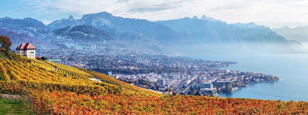 Top Schools in Vaud