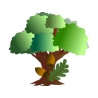 Acorns to Oaks Online Primary School Logo