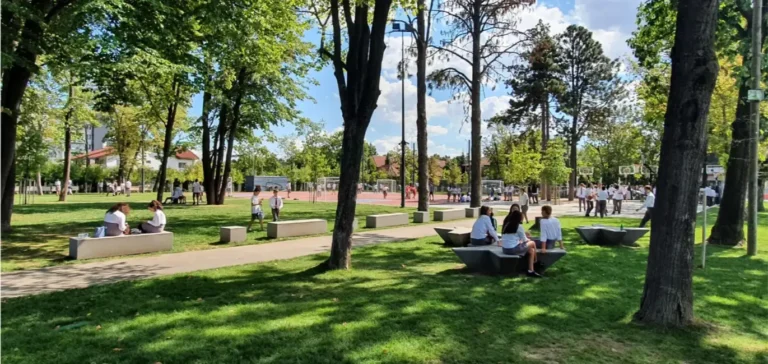 WSGallery-Cambridge School of Bucharest-Overview-3