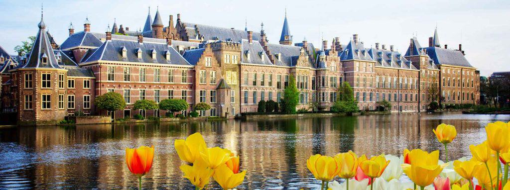 Top Schools in The Hague