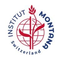 Institut Montana Switzerland Logo