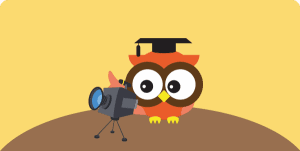  owl camera owl camera