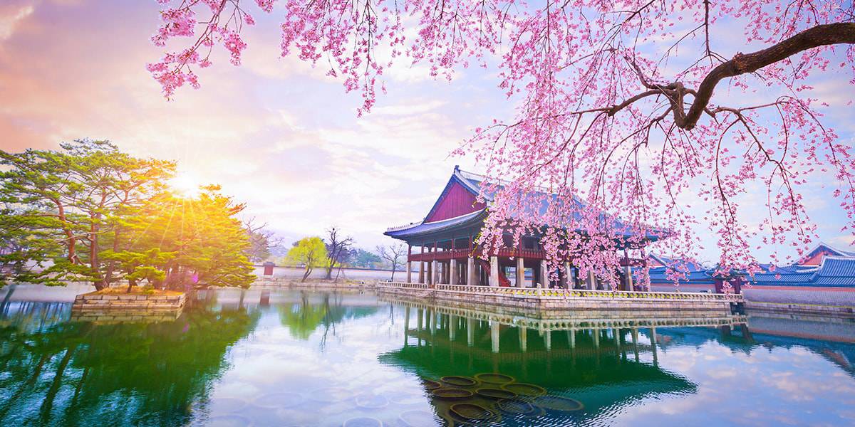 11 Tips for Moving to Seoul With Your Family  World Schools