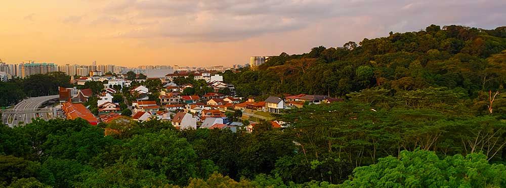 Bukit Timah in Singapore during sunset Bukit-Timah-Singapore What are the best places to live in Singapore? | World Schools