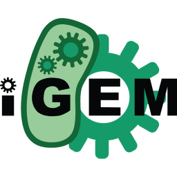 Students participated in the iGEM competition
