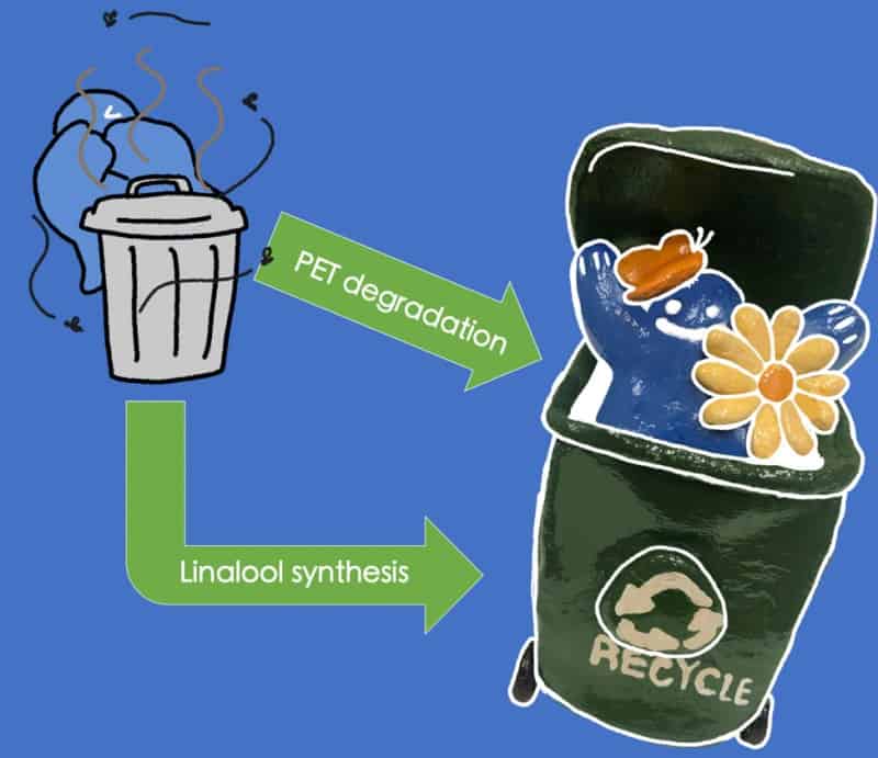 Een team van Keystone-studenten werkte aan een methode om plastic afval biologisch af te breken