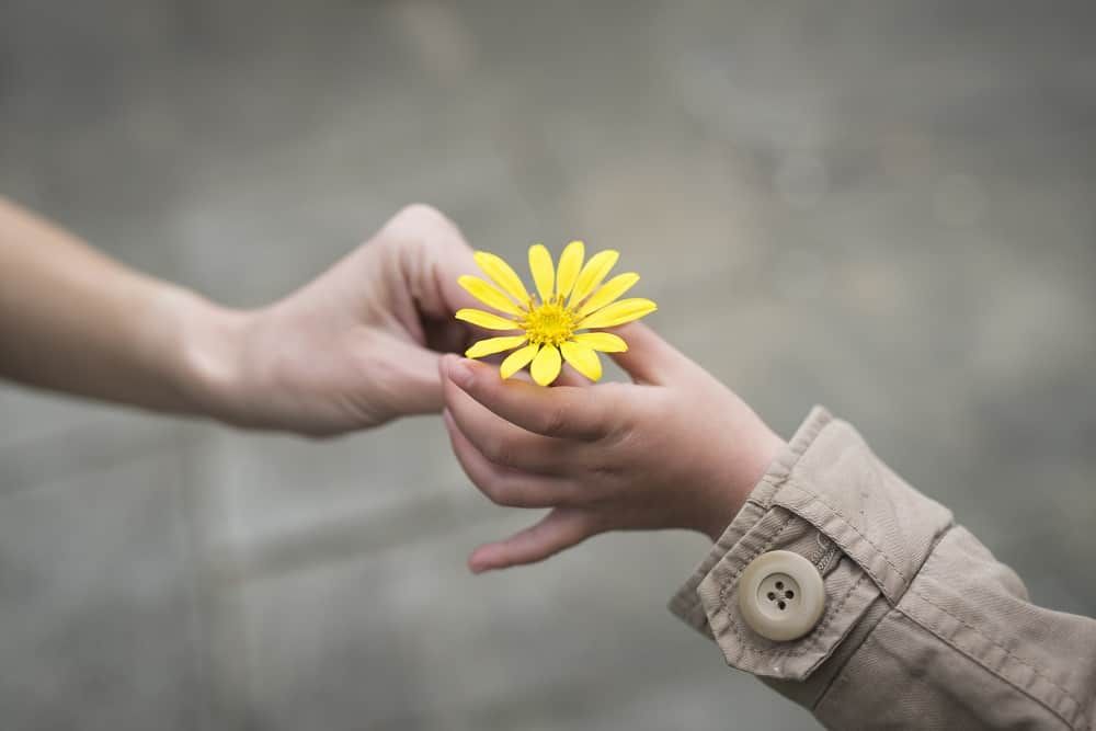 How can we teach children to practice kindness? world-schools-kindness How to Foster Kindness Every Day | World Schools