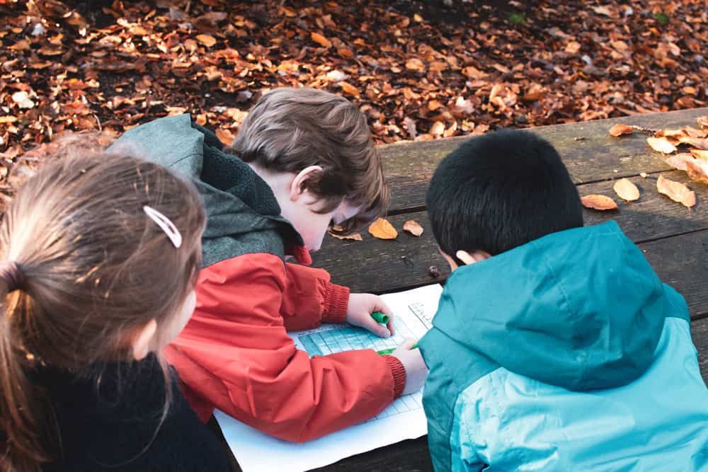  515-img1-Forest_learning_at_ISB Forest Learning at The International School of Brussels: looking at nature through a mathematical lens