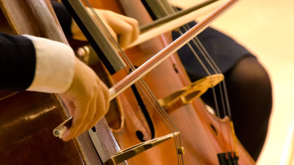  AMAA_String_Instruments Unique IB Education with Music now available in Europe!