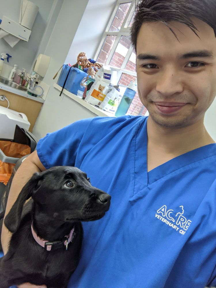  787-img1-My-journey-in-veterinary-medicine-justin-mg-10 My Journey in Veterinary Medicine: Justin Ng’ 10