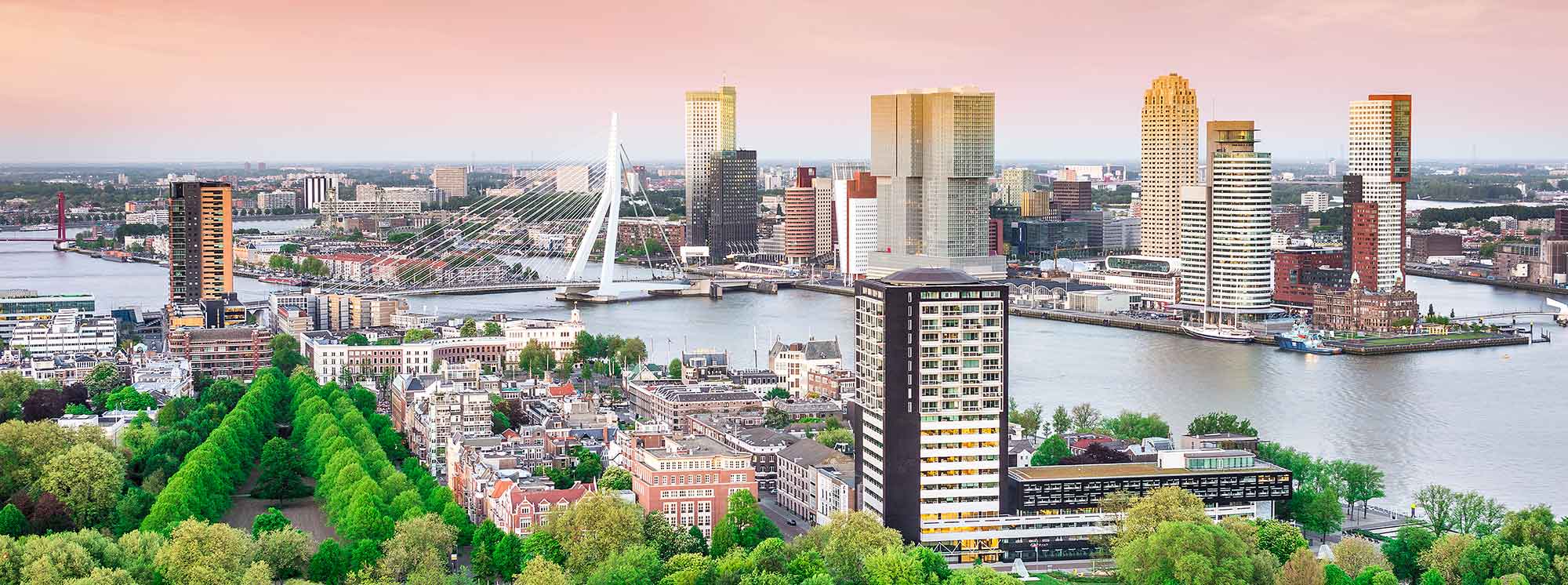 Best Schools in Rotterdam