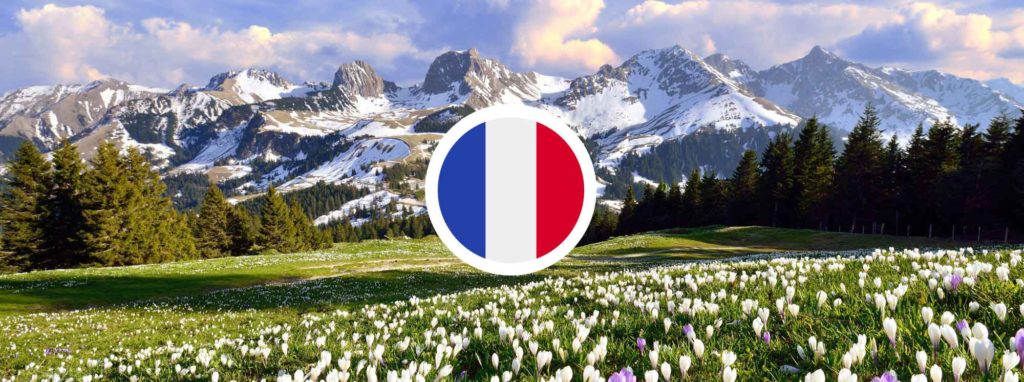 Best French Schools in Switzerland