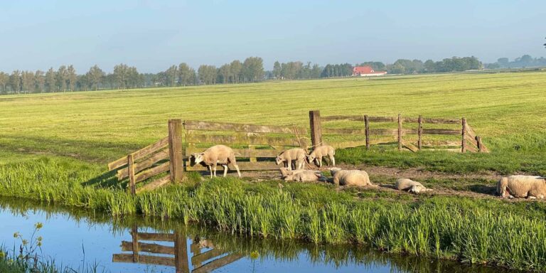 American-school-of-the-hague-photo-22