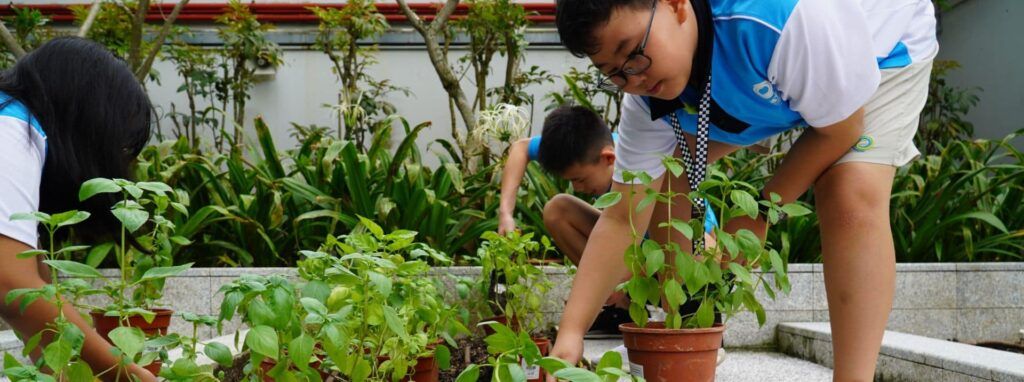 Nexus-Post-Hydroponic-Garden-3 AIS-Guangzhou-photo-12 Nexus Green Guardians, assemble!