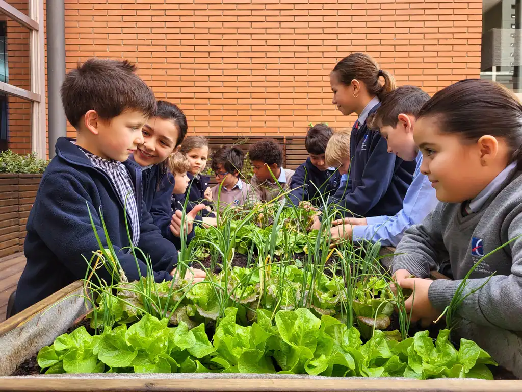 Students tending leafy greens in a school rooftop garden at European International School of Barce­l.