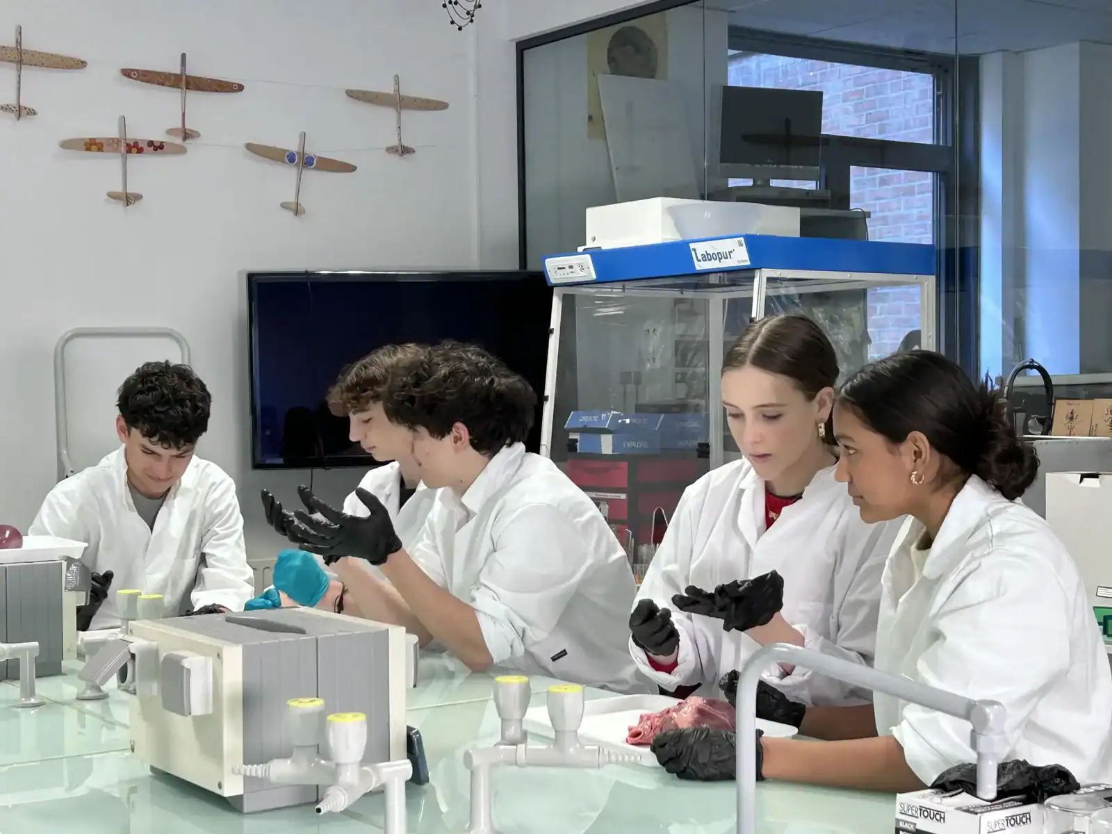 Science students at International School of Brussels engaging in hands-on laboratory activities.