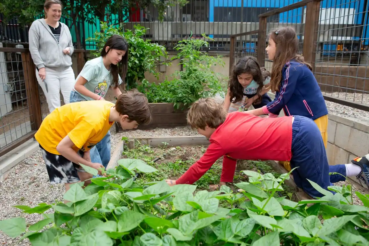 Students gardening in a raised bed at school with a mentor nearby.