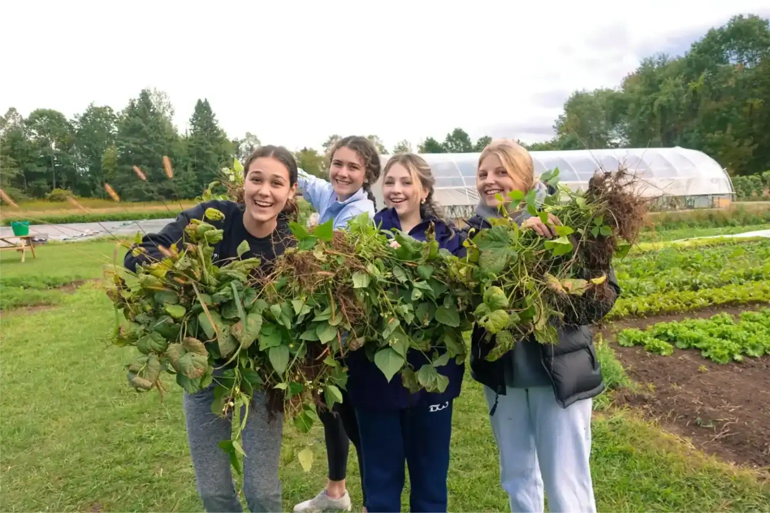 Outdoor learning activity with students holding freshly harvested plants.