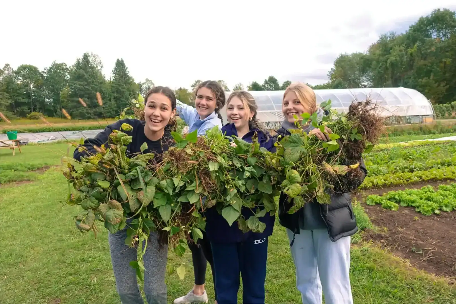 Outdoor learning activity with students holding freshly harvested plants.