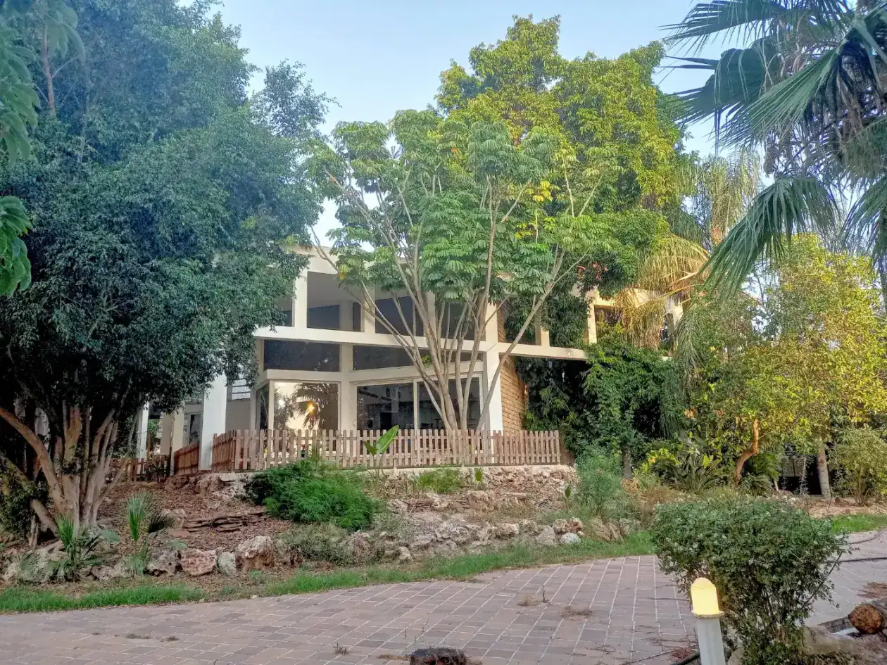 Spacious modern school building surrounded by lush green trees and landscaped outdoor area.