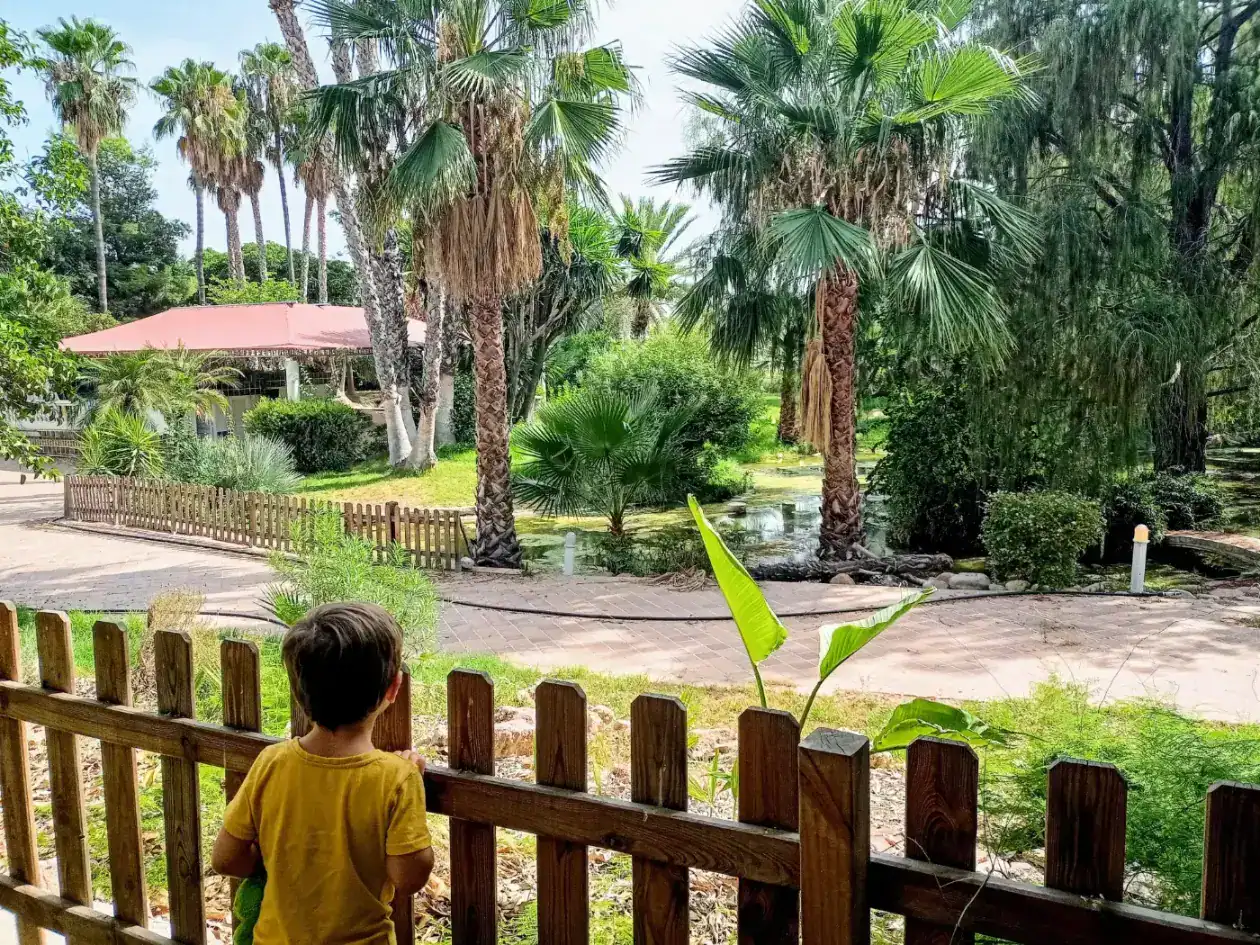 Lush tropical garden at a school with palm trees and greenery, student observing nature.