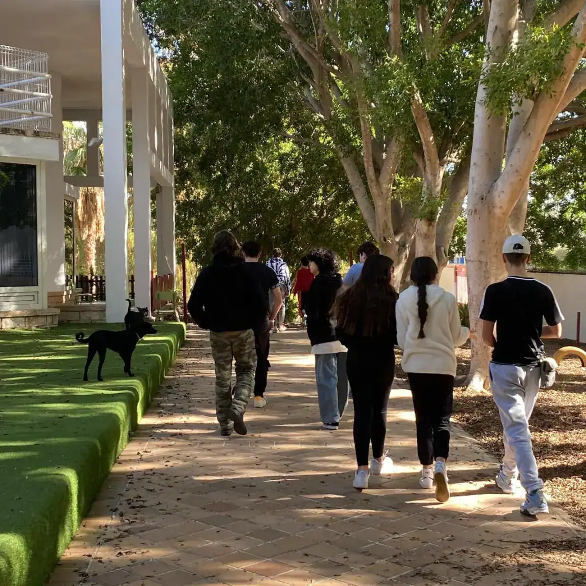Students walking outdoors at a diverse international school campus, emphasizing global education and modern learning environments.