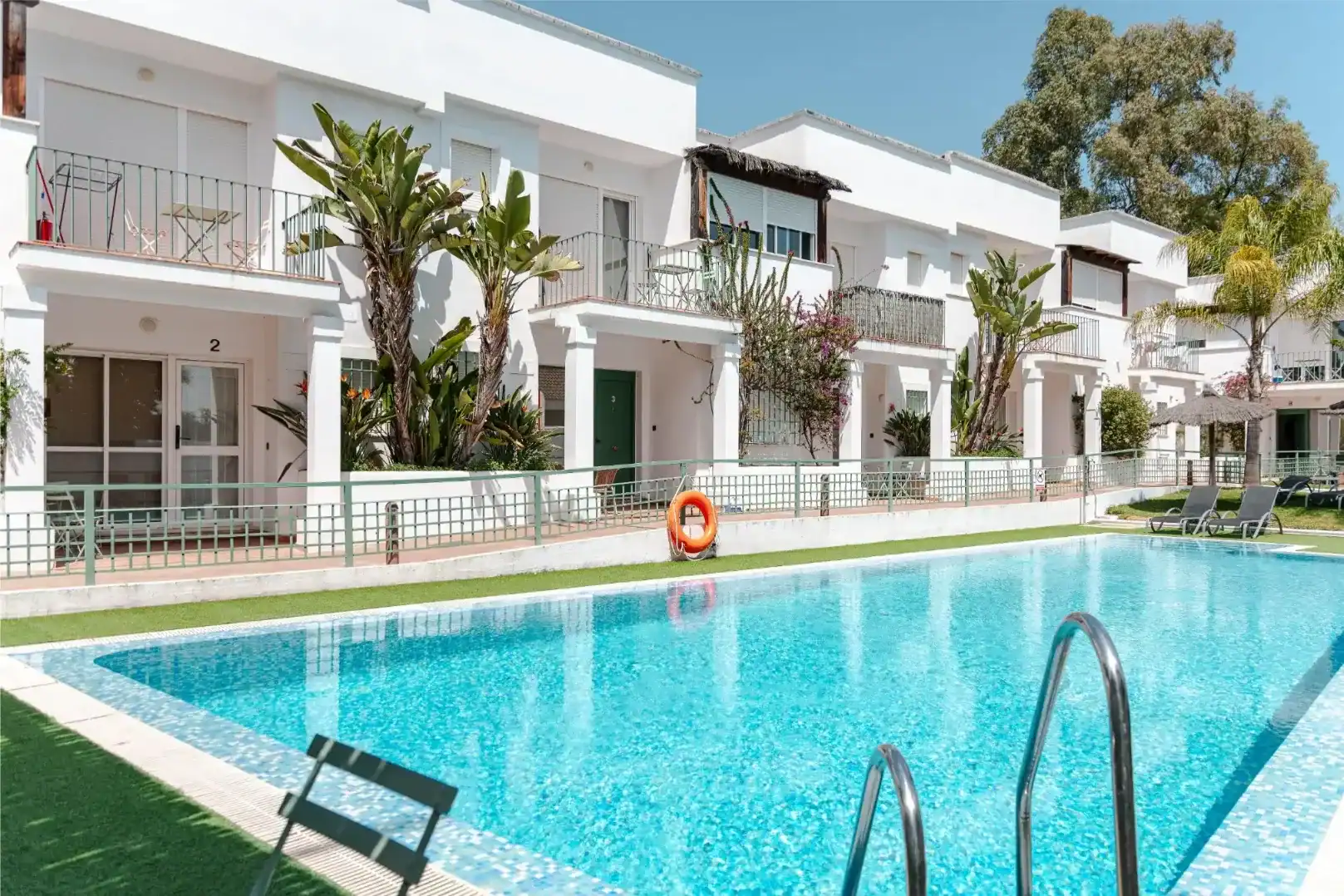 Modern hotel pool at The British School of Córdoba campus with sun loungers and palm trees.