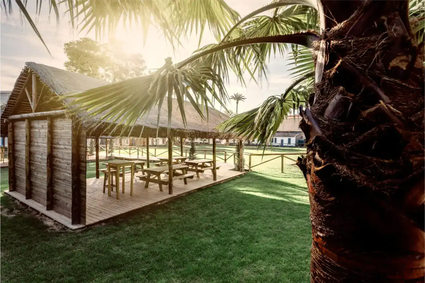 Sunlit outdoor classroom with thatched roof, surrounded by lush greenery and palm trees.