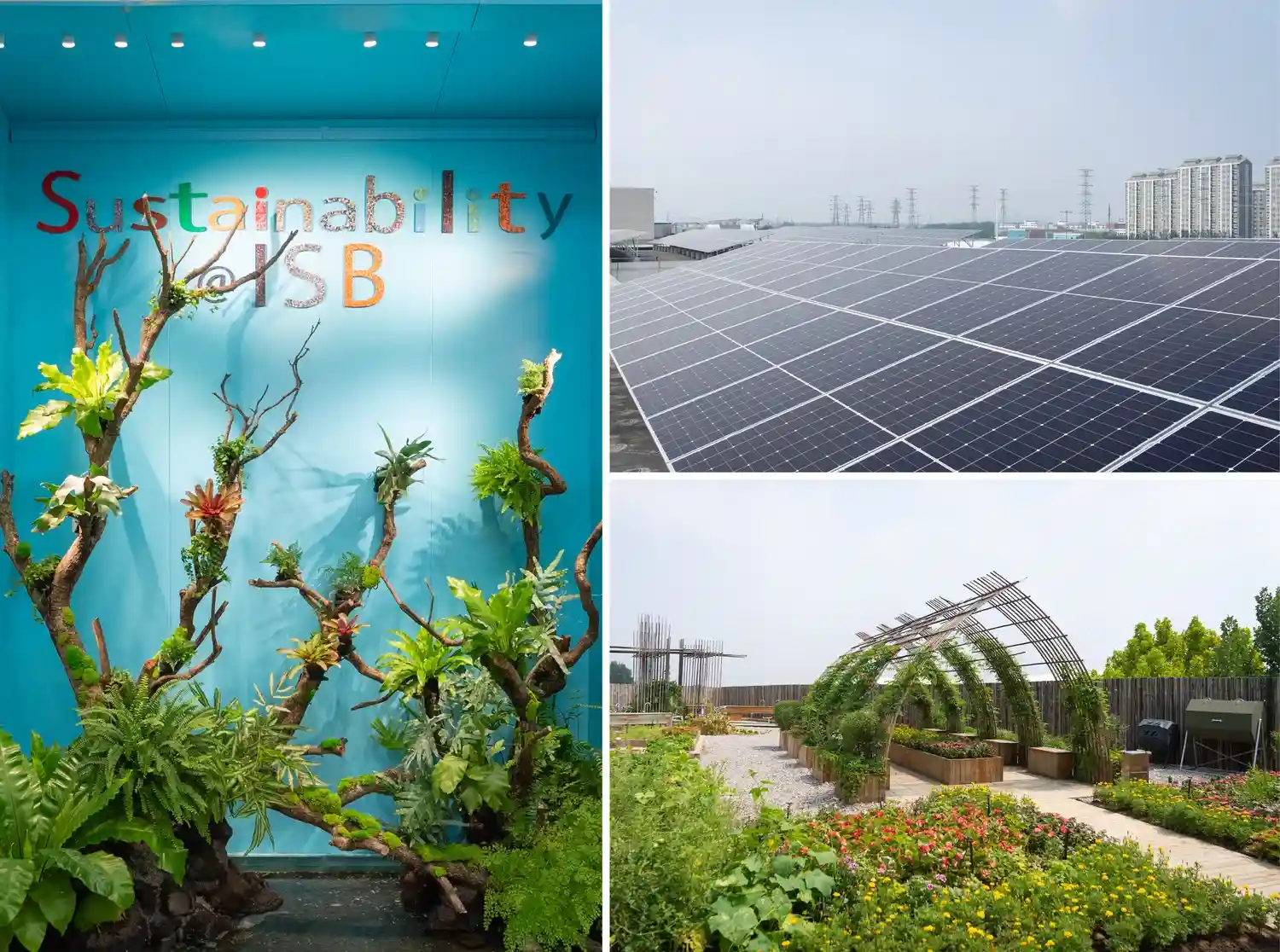Solar Panels, in line with our Sustainability efforts this year, which also includes the elimination of single-use plastics WSGallery-ISB-post-first-day-5 The first day of school is nearly here...