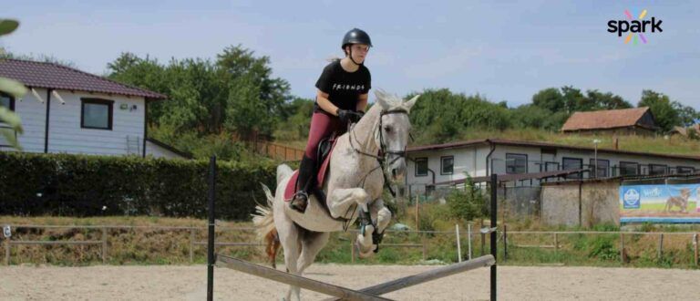  astrid riding horse Balancing Academics and Athletics: How Online Education Helps You Excel at Both