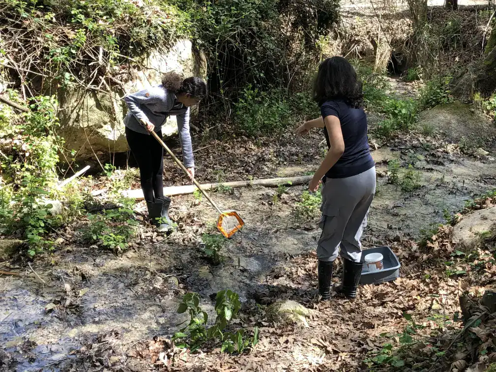 Students exploring a small creek in a natural outdoor environment for educational purposes.