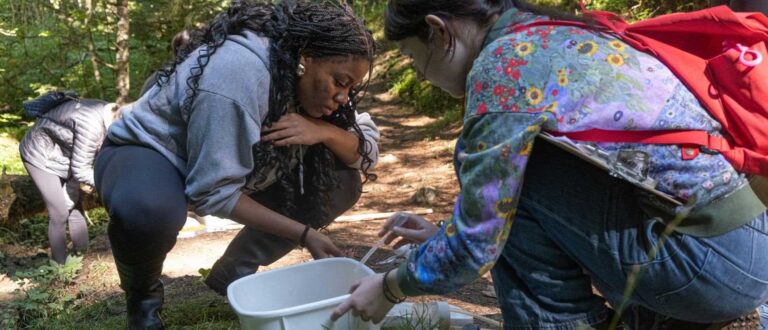 WSPost-Gallery-IB Science Field Trip- LAS Students Investigate Leysin's Ecosystems