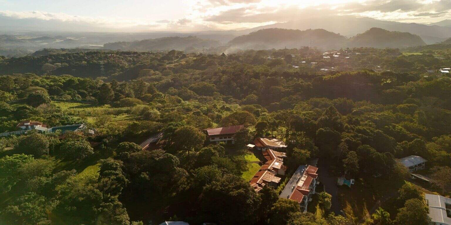 Lush green landscape with scattered buildings in a serene, forested area.