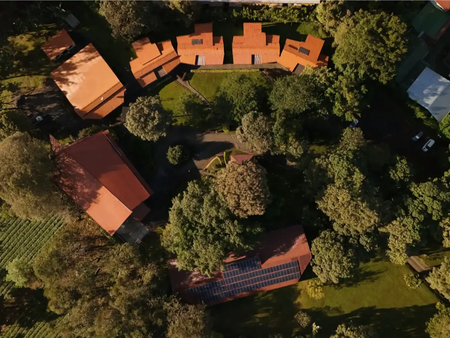 Lush green trees surrounding traditional school buildings with solar panels, emphasizing sustainable campuses.