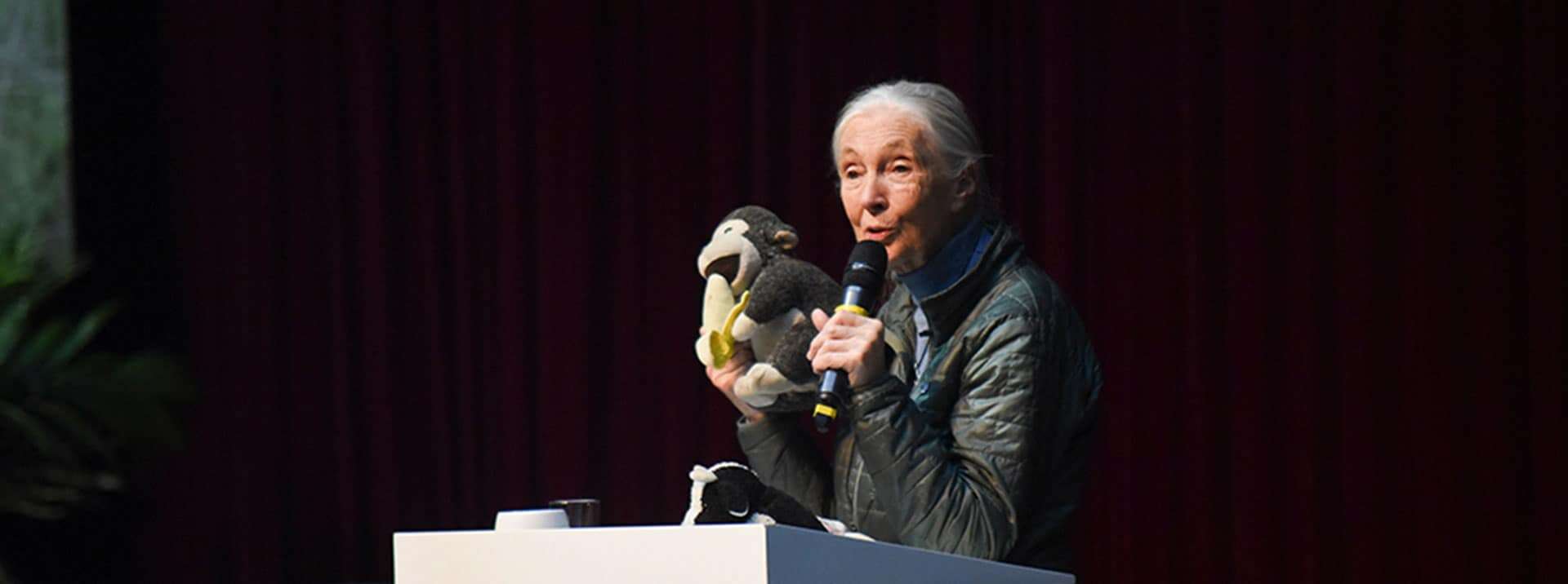 The Indomitable Human Spirit: Conservationist Jane Goodall Spreads Hope in Beijing
