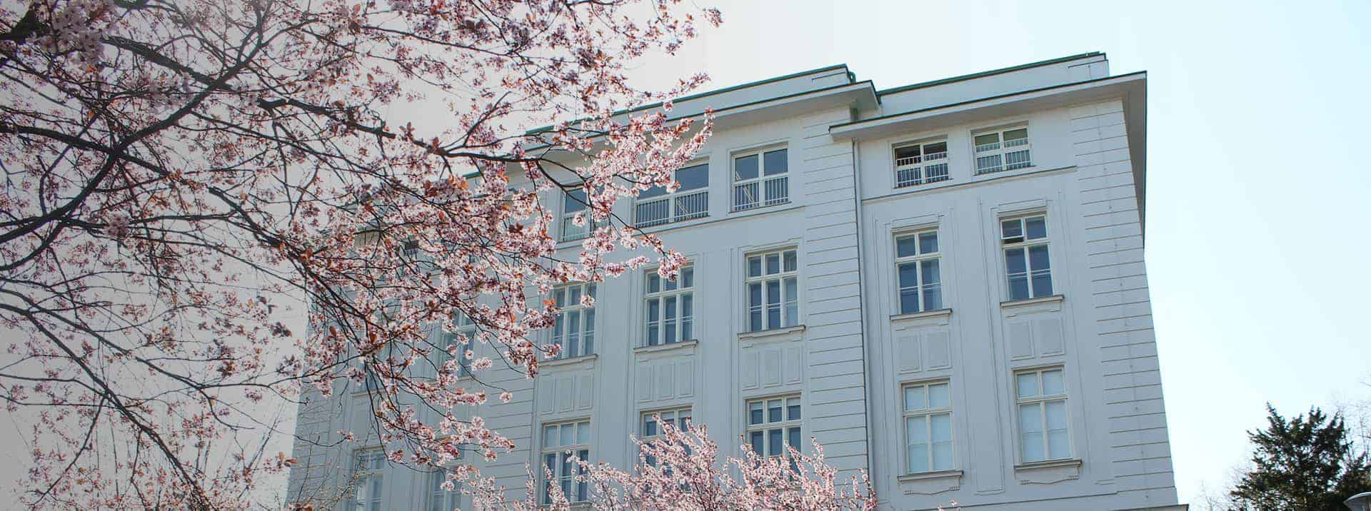 AMADEUS Vienna Receives Council of International Schools (CIS) Recognition
