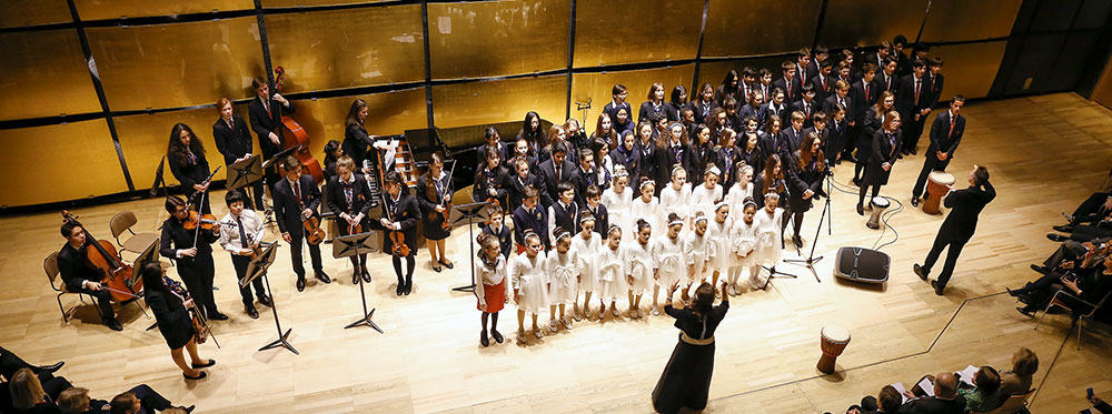 AMADEUS Launches International Youth Orchestra