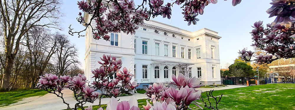 Elegant white school building surrounded by blooming pink magnolia trees, ideal for international education and world-class learning environments.