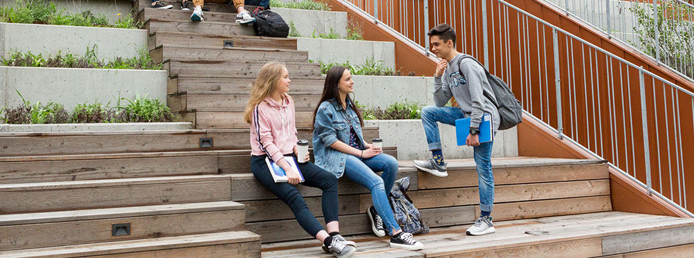 Role of education in preparing a new generation of young people