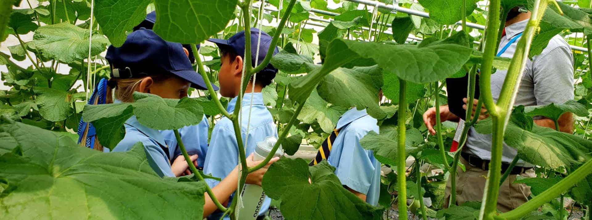 Young students exploring plant growth in a greenhouse environment, emphasizing agricultural education at World Schools.