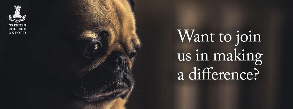 Greene’s College Oxford’s students fundraise for abandoned ‘lockdown pets’