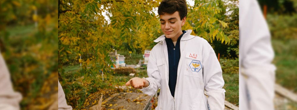 Seeds for Bees | LCS Students Aim to Preserve Biodiversity