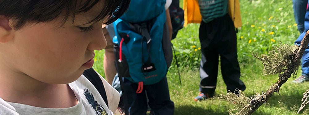 Playing with sticks – Why risky play is so important