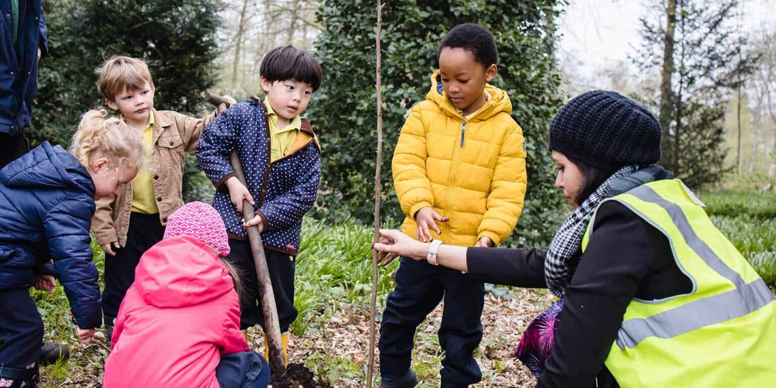 在森林学校的教育活动中,孩子们在户外植树。.